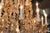 2000 - 2009 Renaissance 24 Light Schonbek Renaissance 3783 French Style Crystal Chandelier For Sale - Image 5 of 18