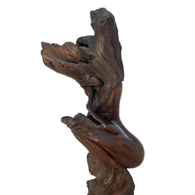 Contemporary 1980s Monumental Signed Wood Sculpture by Sig De Tonancour, 1984 | Organic Modern Figurative Form For Sale - Image 3 of 13