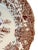 Set of 5 Antique William Ridgway Red Transferware Turkey Plates - Grandmillennial Staffordshire For Sale In Houston - Image 6 of 11