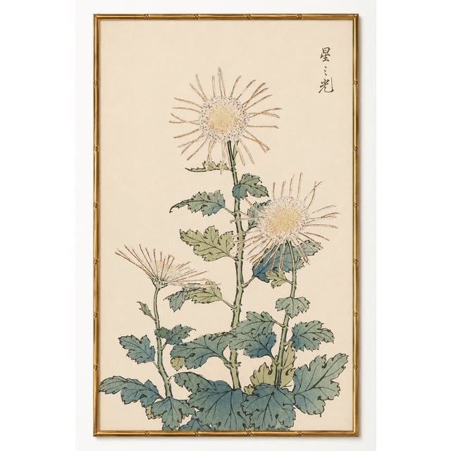 Spider Chrysanthemum Trio by Hasegawa, Vintage Japanese Botanical Art Print, 16" X 24" For Sale In Buffalo - Image 6 of 9