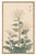 Spider Chrysanthemum Trio by Hasegawa, Vintage Japanese Botanical Art Print, 16" X 24" For Sale In Buffalo - Image 6 of 9