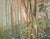 1970s Misty Forest, 1970s Landscape by Gary Hicks For Sale - Image 5 of 11