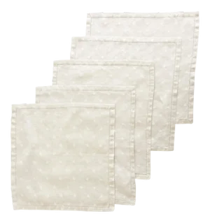 1930s Classic Embroidered Table Linens Set - Vintage Tablecloth & 5 Matching Dinner Napkins