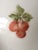 Ceramic Vintage Sherbets With Hand Painted Cherries - Set of 5 For Sale - Image 7 of 13