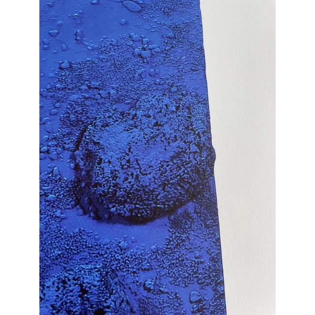Early 21st Century Yves Klein, Relief Éponge-Blue Re 17, 1960, Print For Sale - Image 5 of 7
