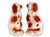 Mid 19th century Staffordshire pottery King Charles spaniel dogs modeled in the traditional seated form with expressive...