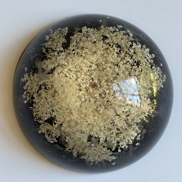 Mid-20th Century Signed William Rolfe Botanical Resin Paperweight For Sale In Baltimore - Image 6 of 15
