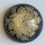 Mid-20th Century Signed William Rolfe Botanical Resin Paperweight For Sale In Baltimore - Image 6 of 15
