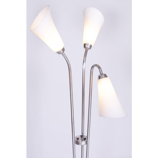 Czech Art Deco Floor Lamp in Chrome, Opal Glass and Lacquered Wood, 1930s For Sale - Image 6 of 15