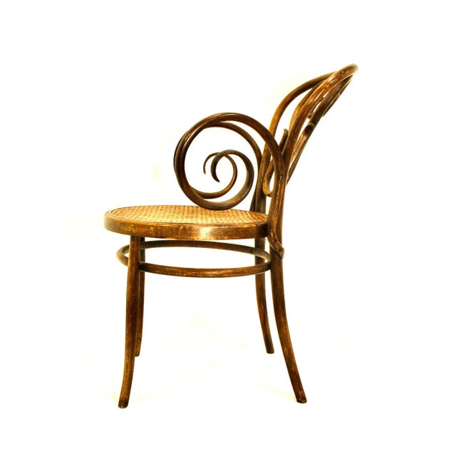 Mid 20th Century Bentwood Arm Chair With Caned Seat by Salvatore Leone For Sale In San Francisco - Image 6 of 8