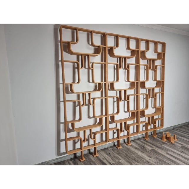 Brown Room Dividers by Ludvik Volak for Drevopodnik Holesov, 1950s, Set of 3 For Sale - Image 8 of 11