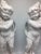 1970s 1970s Italian Cherubs on Stand - a Pair For Sale - Image 5 of 8