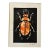 Original Hand-Carved Linocut Print Beetle With Watercolor - Autumn Variant For Sale