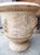 Pair of French Handmade Terracotta Anduze Planters With Satyre Masks For Sale - Image 15 of 18