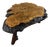 Large Tree Trunk Coffee Table by Frank Armich, Canada, 1970s For Sale