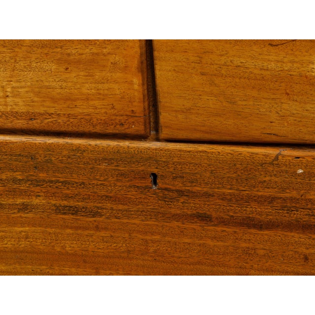 English Campaign 19th Century Camphor Wood Low Chest with Inset Brass Hardware For Sale - Image 12 of 12