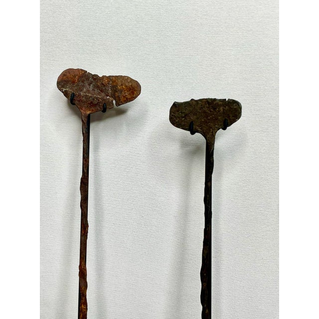 19th Century Mounted African Currency Pieces For Sale - Image 4 of 4