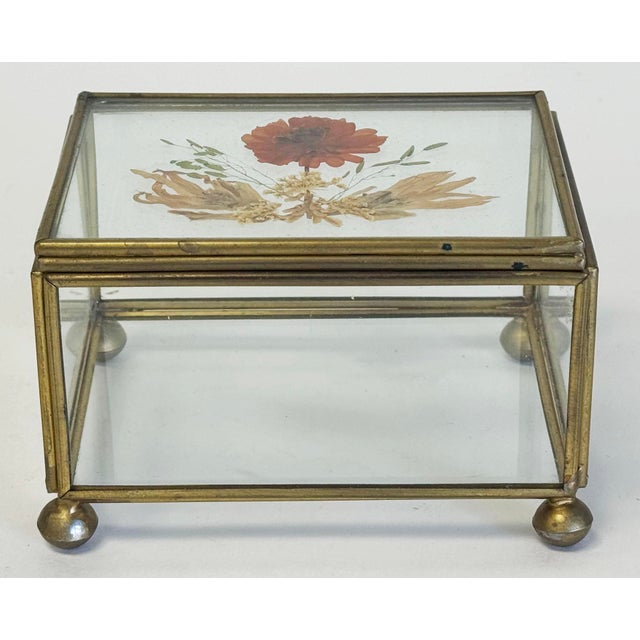 Mid-Century Modern Vintage Pressed Flower Glass and Brass Lidded Display Box For Sale - Image 3 of 7