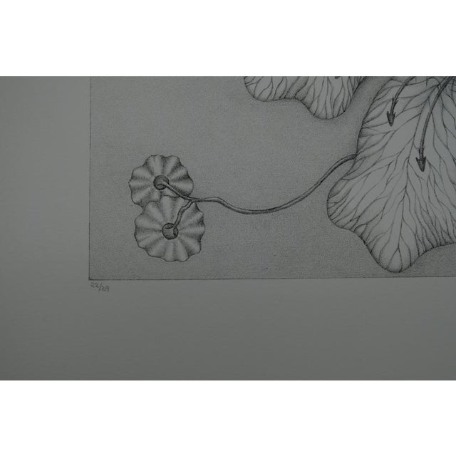 Gochka Charewicz, Grande fleur, Lithograph For Sale - Image 6 of 8