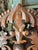 Wood 19thC Victorian Renaissance Revival Carved Walnut Armorial Slipper Chair. For Sale - Image 7 of 11