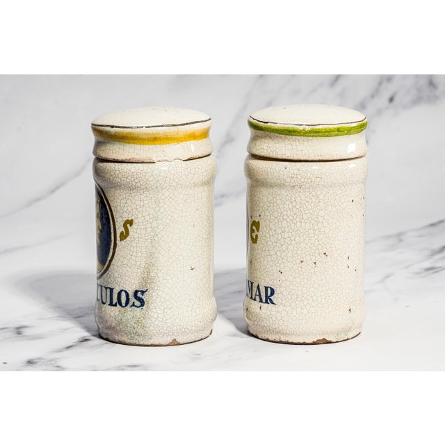 Rare Pair Italian 19th Century Hand Painted Ceramic Antique Apothecary Lidded Jars Portrait Profiles For Sale In New York - Image 6 of 18