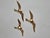 Brass Wall Decor Sculptures of Seagulls, Austria, 1963, Set of 3 For Sale - Image 6 of 16