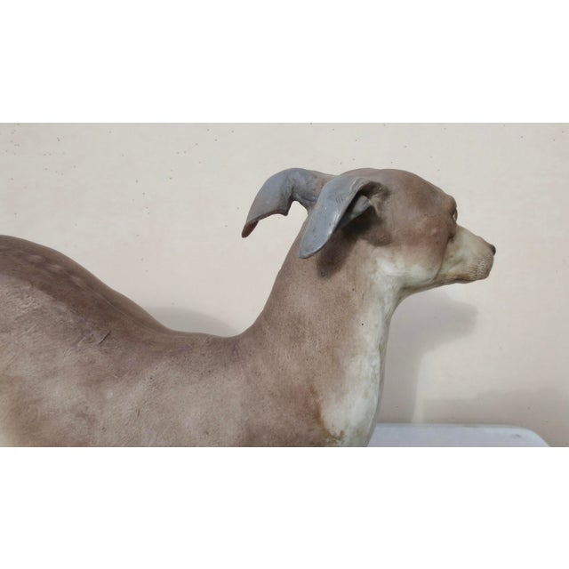 Life Size Antique French Porcelain Grey Hound 1867 ( 159 Years Old) For Sale - Image 12 of 16