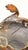 1980s 1980s Michael Storey Metal Sculpture Lizard Shelf or Wall Hanging For Sale - Image 5 of 11