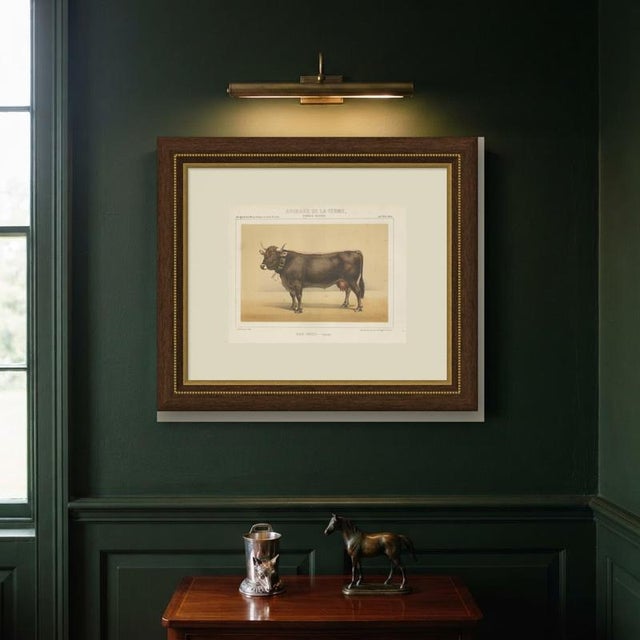 Paper After Charles Olivier de Penne, Schwyz Cow with Bell, Swiss Brown Cattle, 1863, Chromolithograph For Sale - Image 7 of 9