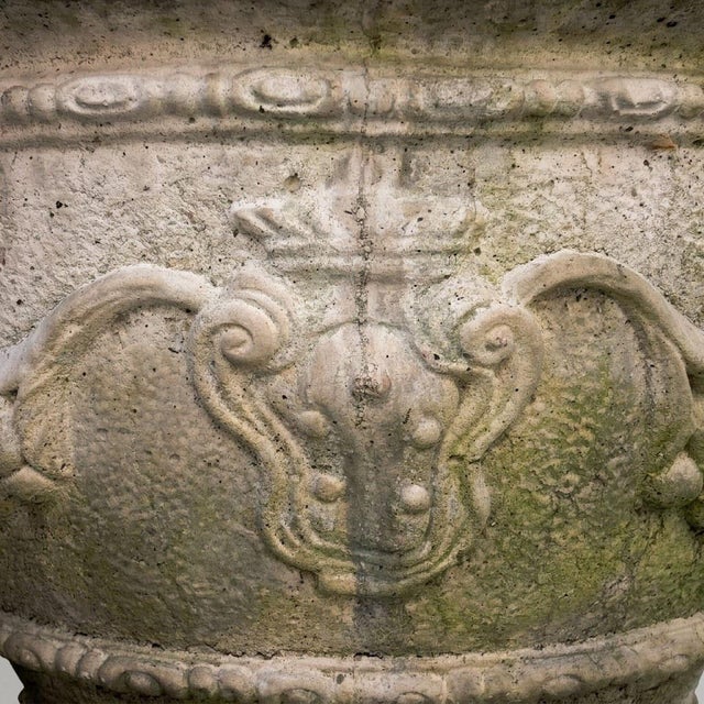 Large Medici Garden Basin, Early 20th Century For Sale - Image 12 of 14