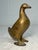 Up for sale is an antique early 1900's AC Williams hand-painted cast iron gold duck still bank. This collectible bank is...