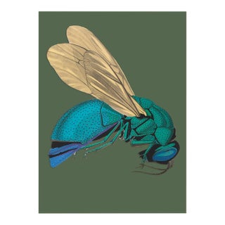 Bugs by Seguy #11 For Sale