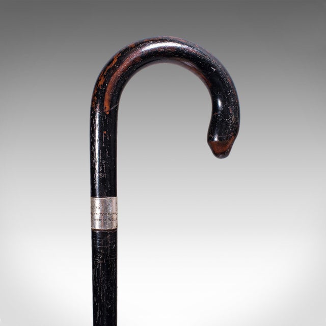 Vintage Gentleman's Walking Cane, English, Brass, Stick, Hallmarked Silver, 1935 For Sale - Image 6 of 11