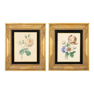 Pair of French Botanical Watercolors in Period Frames by Clotilde De Bost, C. 1815 For Sale