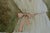 Bernard Charoy, Charlotte au collier, Lithograph For Sale - Image 5 of 8