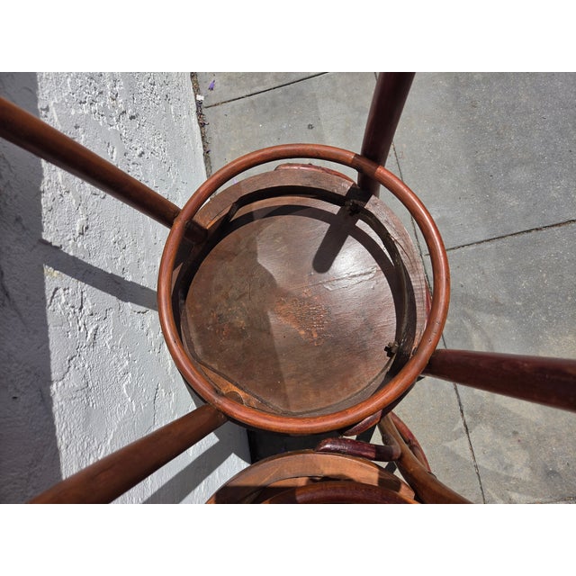 1900 - 1909 J & J Kohn Mundus Bentwood Cafe Chairs Set Two For Sale - Image 5 of 10