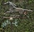Exceptional 19th Century American Copper Running Horse Weathervane Original Stand For Sale - Image 17 of 18