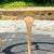 Mid 20th Century Vintage Regency Faux Bois Dining Table For Sale - Image 11 of 13