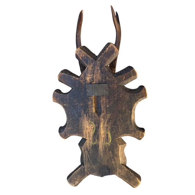 1900 - 1909 Roe Deer Trophy 105, Black Forest Antlers For Sale - Image 5 of 5
