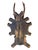 1900 - 1909 Roe Deer Trophy 105, Black Forest Antlers For Sale - Image 5 of 5