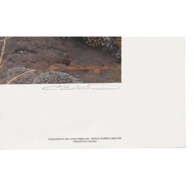 1990s Carl Brenders "Top of the World - Polar Bear" Signed Limited Edition Lithograph, 1995 For Sale - Image 5 of 11