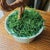 VTG Glass Pink Cherry Blossom Flowers Leaves Bonsai Tree 12" Tall 4.5" Round MCM For Sale - Image 16 of 16