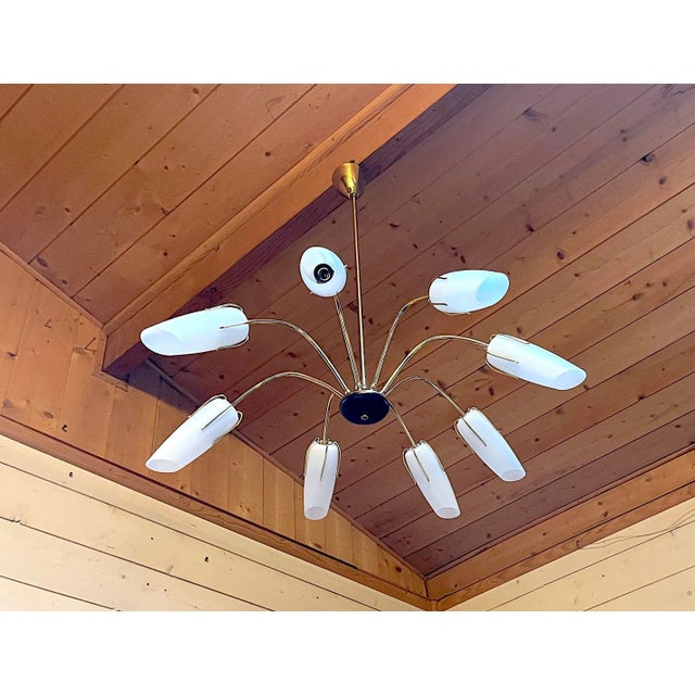 Mid-Century Spider Black & Brass Chandelier, Eight Lights. The arm is in patinated brass and the lampshades are beautiful...