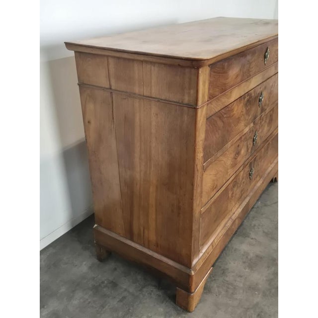 Louis Philippe Style Chest of Drawers in Burr Walnut Veneer, in Very Good conditions.