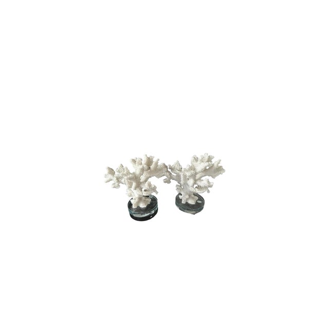 Set of Two Faux White Coral Vintage Sculptures Decor Pieces on Clear Plexiglass For Sale In Miami - Image 6 of 8