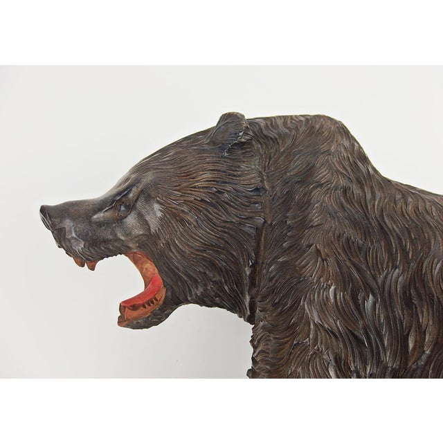 Carved Wooden Ainu Bear, 1960s For Sale - Image 9 of 17