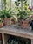 This Vintage Large Gothic Black Wire Cathedral Arch Planter Window Box is a unique and stylish addition to any room. Made...