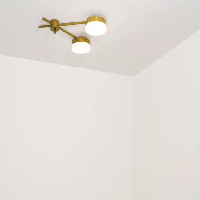 The Celeste Serendipity Wall / Ceiling Light brings elegance to midcentury design through the inspiration of Italian...