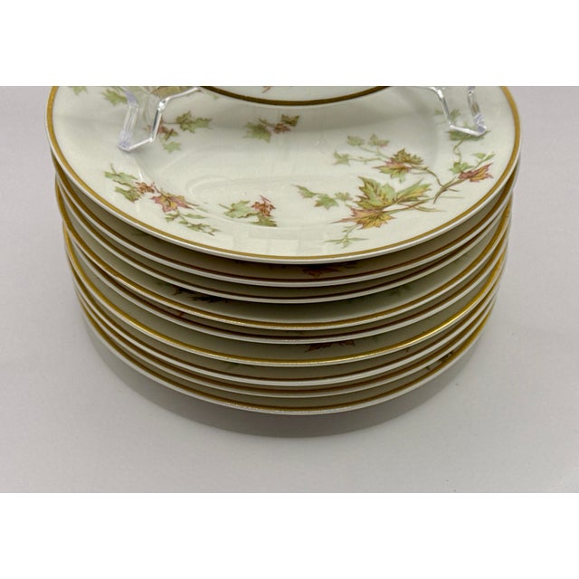 Shabby Chic Limoges Haviland Autumn Leaf Gold Trim Dessert Plates - Set of 10 For Sale - Image 3 of 9