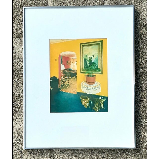 Vintage 1982 Vintage Original Stephen Myers C-Print “Monarch of the Hills” For Sale - Image 11 of 12